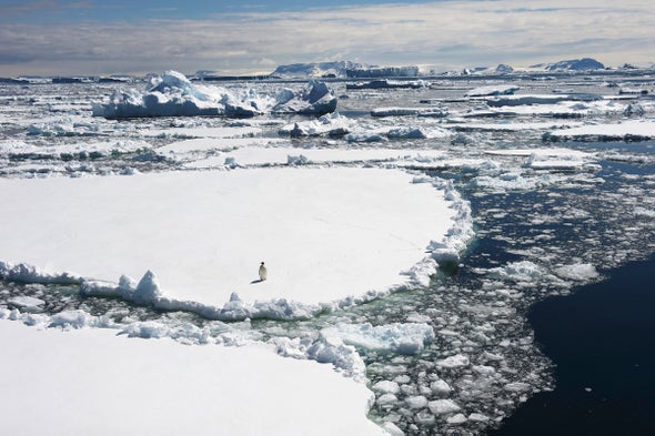 Antarctic Commission Rejects Proposed Marine Sanctuaries