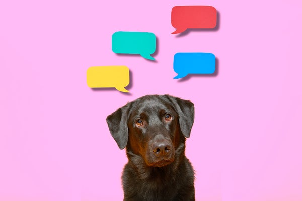 Black lab surrounded by speech bubbles