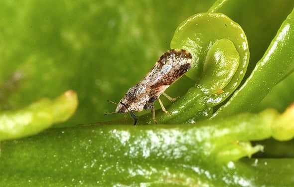 Trump Administration Policies Could Threaten Cuban Biosecurity