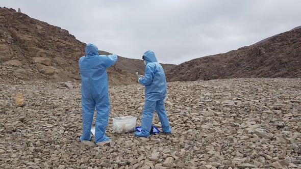 Martian Winds Could Spread Microbe Hitchhikers
