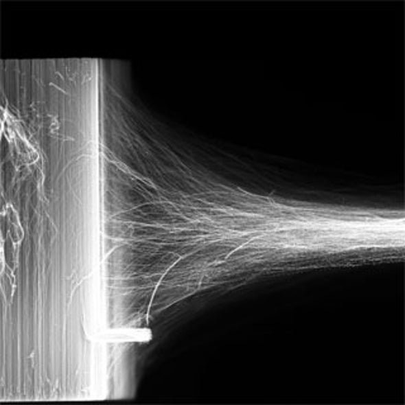 Flex Appeal: Researchers Create Carbon Nanotube Muscles