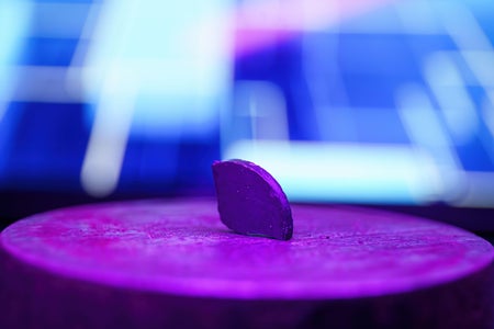 A small sample of LK-99, a material purported to be a superconductor, partially floats above a magnet.