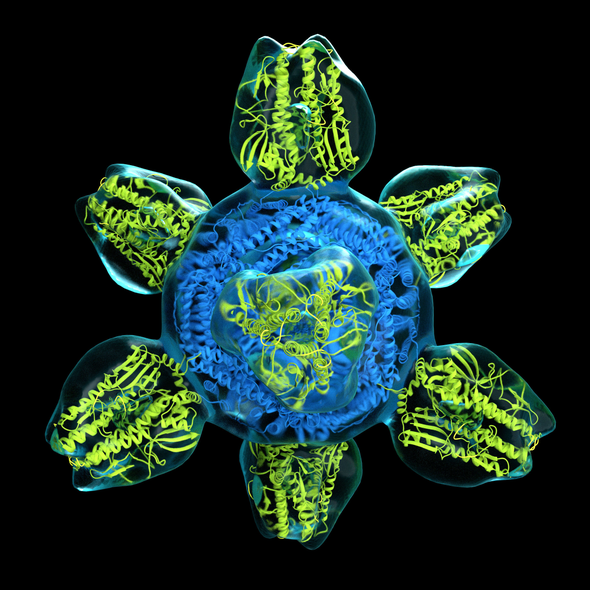 Preventing the Next Pandemic