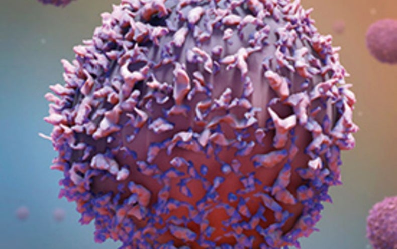 Missing Link Found between the Brain and Immune System - Scientific