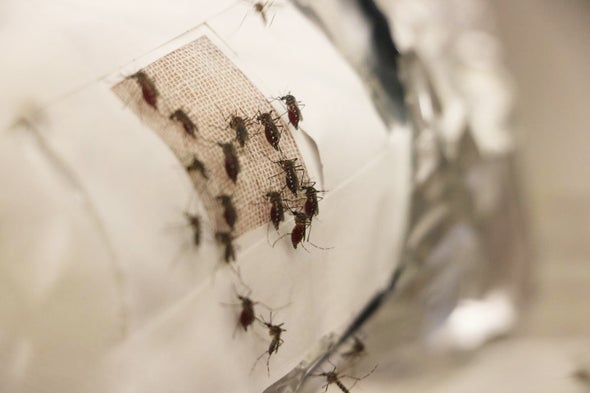 Graphene Garment Blocks Blood-Sucking Skeeters