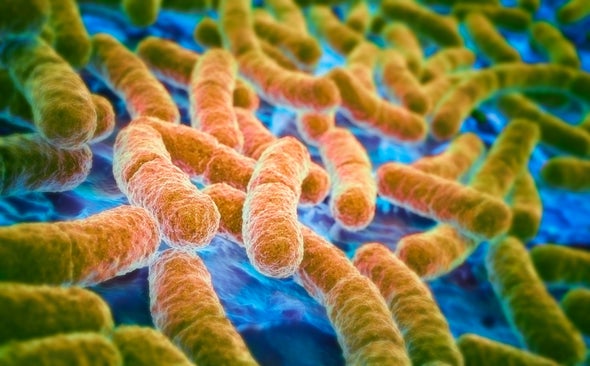 Why Are Some <i>E. Coli</i> Strains Deadly While Others Live Peacefully in Our Bodies?