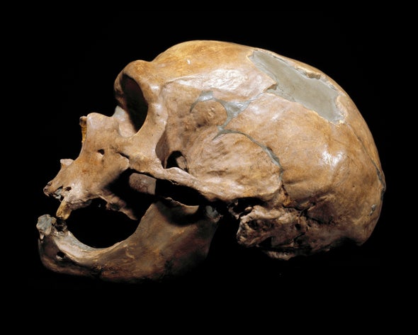 Neandertal DNA Affects Modern Ethnic Difference in Immune Response