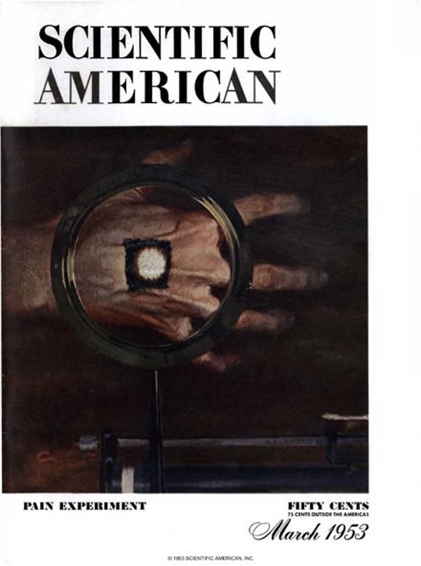 Scientific American Magazine Vol 188 Issue 3