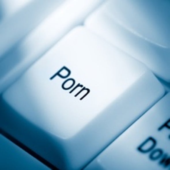 Sex in Bits and Bytes: What's the Problem? - Scientific American