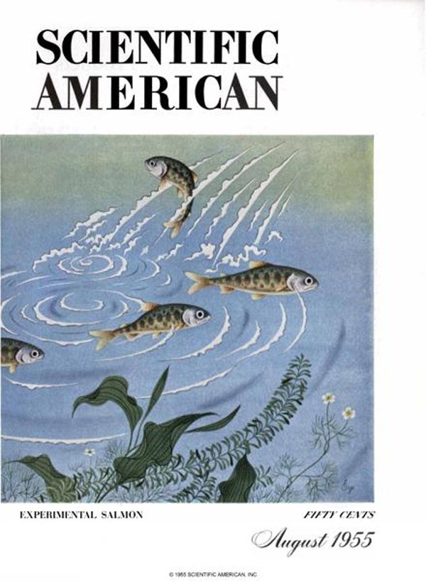 Scientific American Magazine Vol 193 Issue 2