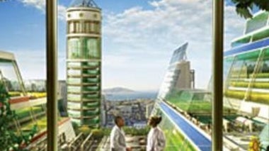 Growing Skyscrapers: The Rise of Vertical Farms