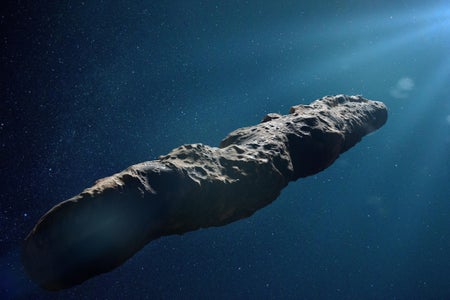 An unusually shaped interstellar object