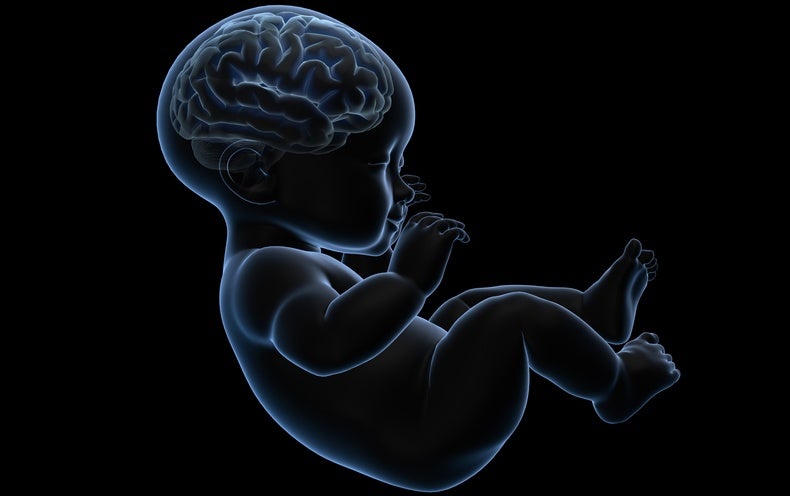 experimental-treatments-aim-to-prevent-brain-damage-in-babies