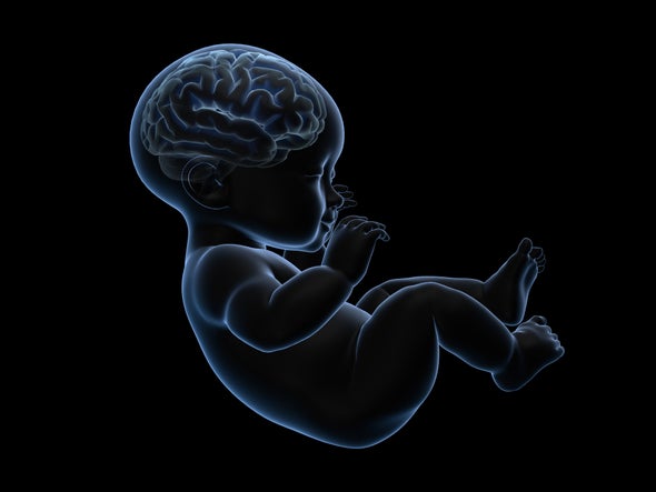 Experimental Treatments Aim to Prevent Brain Damage in Babies