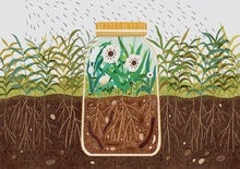 Pesticides Are Killing the Organisms That Keep Our Soils Healthy