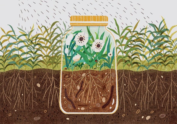 pesticides in soil