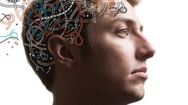 Risky Teen Behavior Is Driven by an Imbalance in Brain Development