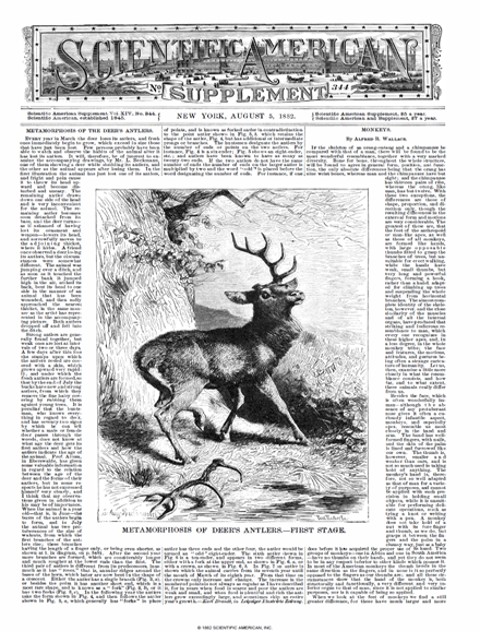 SA Supplements Vol 14 Issue 344supp