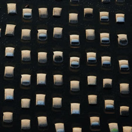 大众科学 Logo