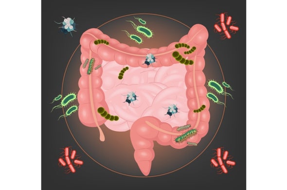 Friendly Germs Protect Mice against Cancer