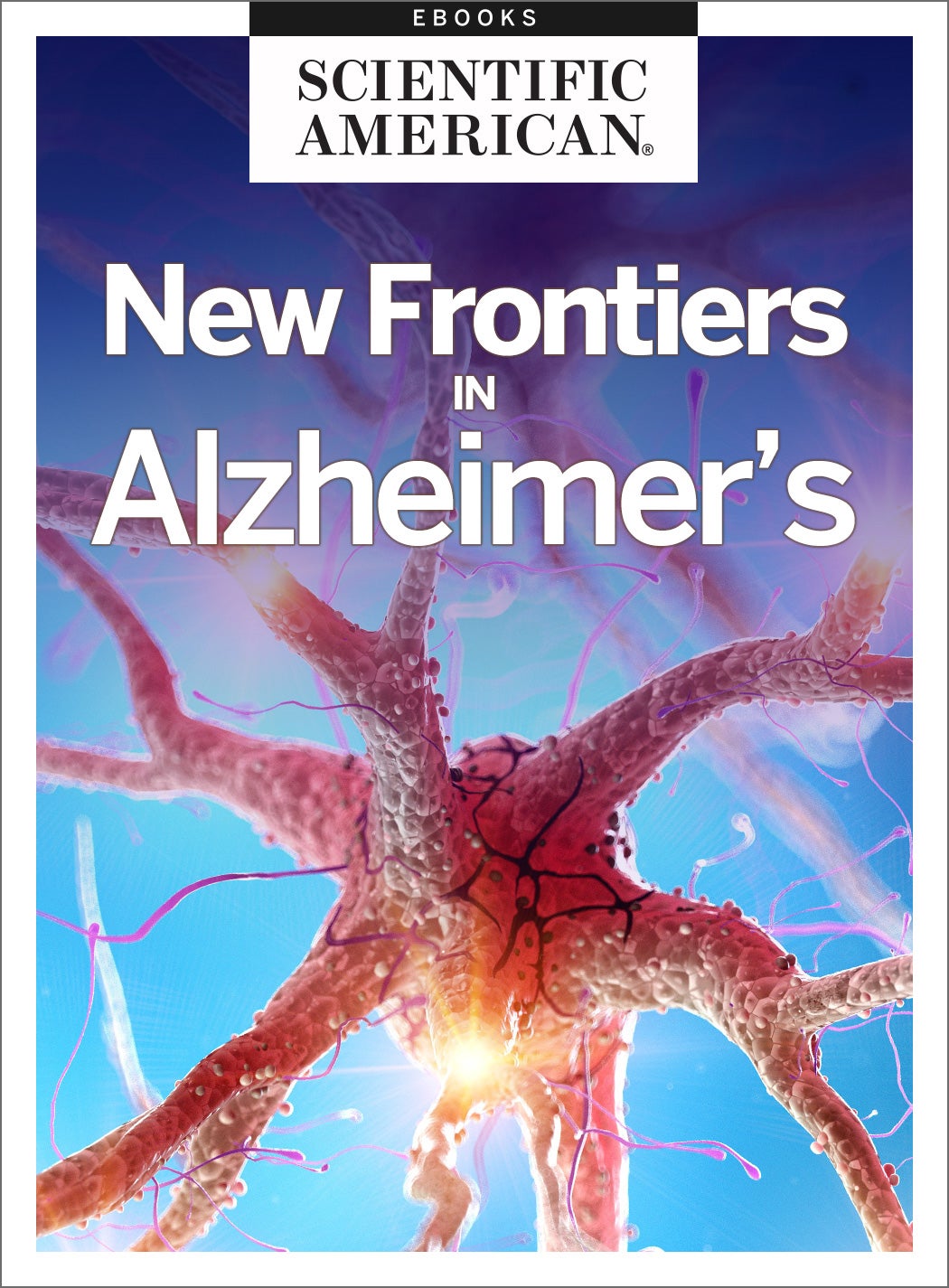 New Frontiers in Alzheimer's
