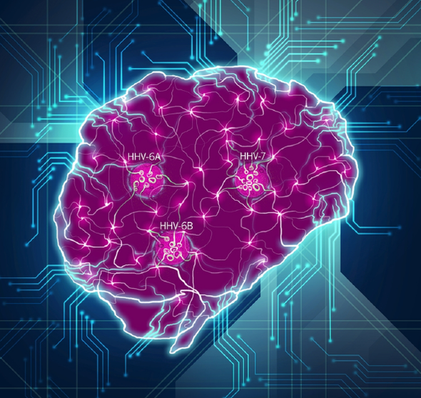 Harder Evidence Builds That Viruses Play a Role in Alzheimer's
