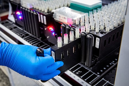 COVID tests in lab.