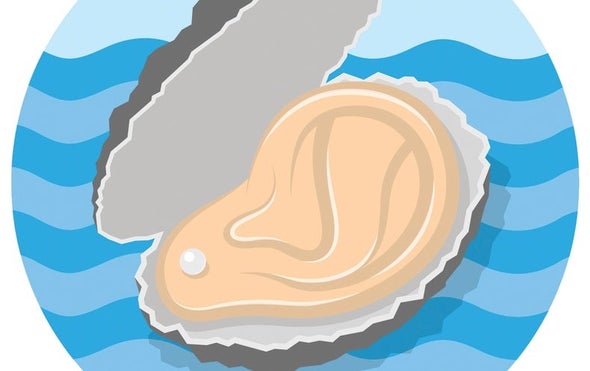 Shrimp Sounds Could Lure Baby Oysters to Build New Reefs