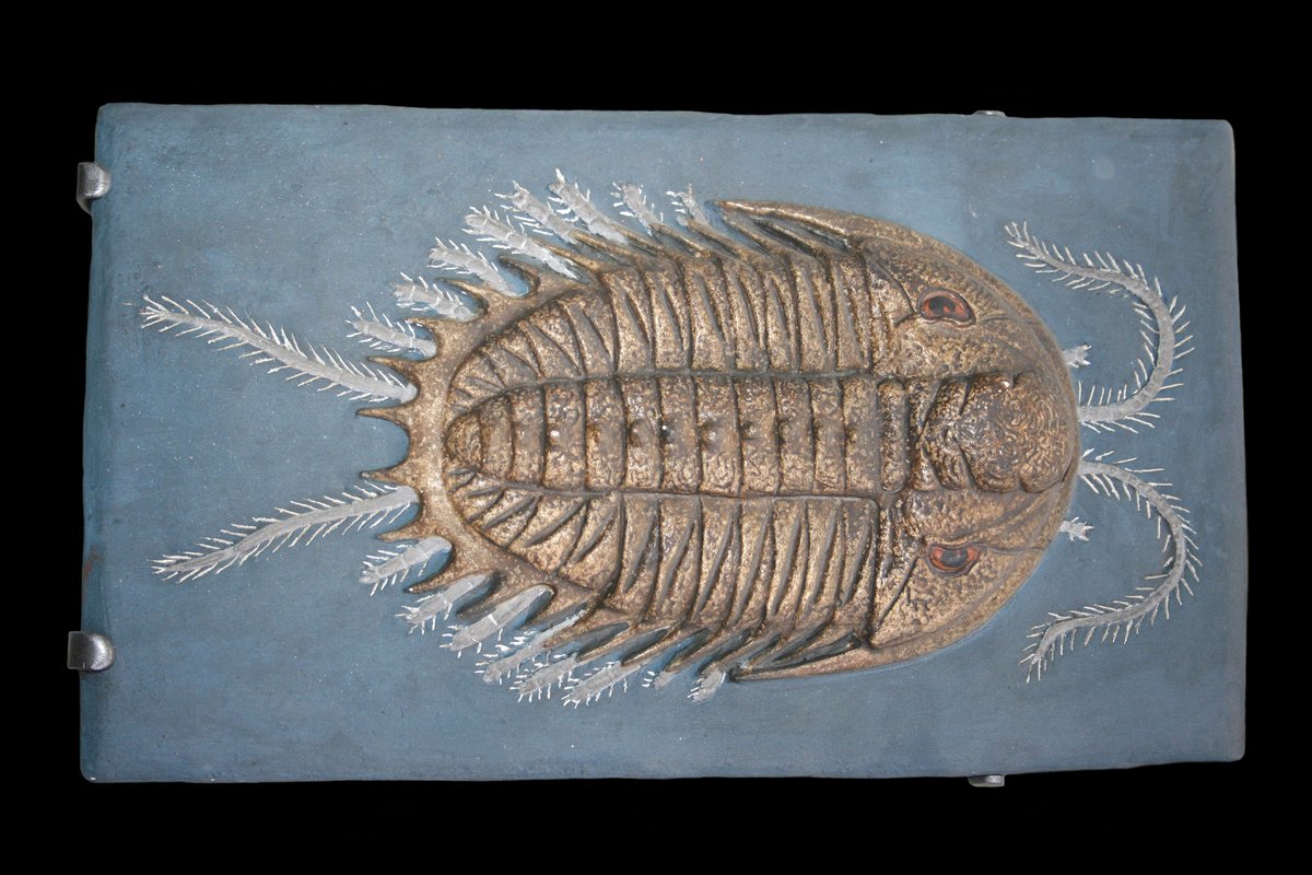 Sex Life of One of Earth's Earliest Animals Exposed | Scientific American