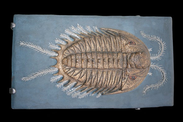 Sex Life of One of Earth's Earliest Animals Exposed - Scientific American