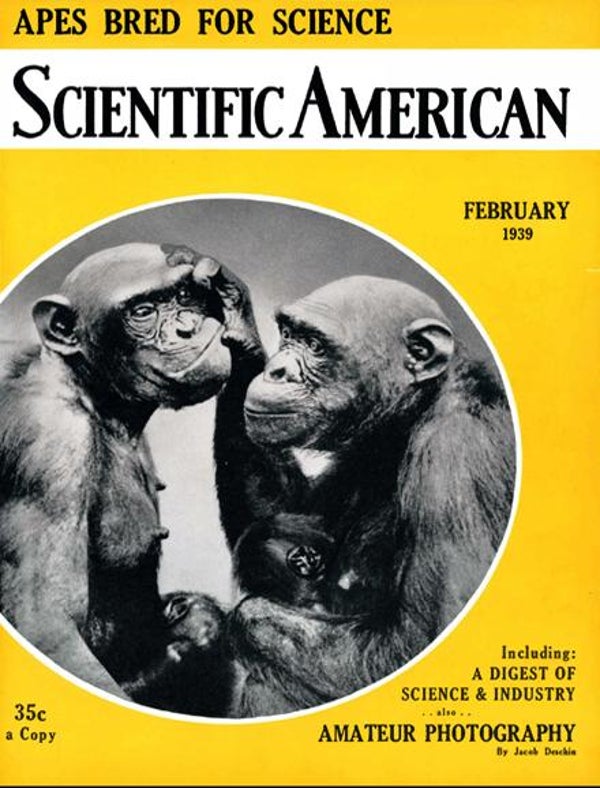 Scientific American Magazine Vol 160 Issue 2
