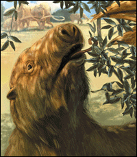 Mammoth Kill - Scientific American