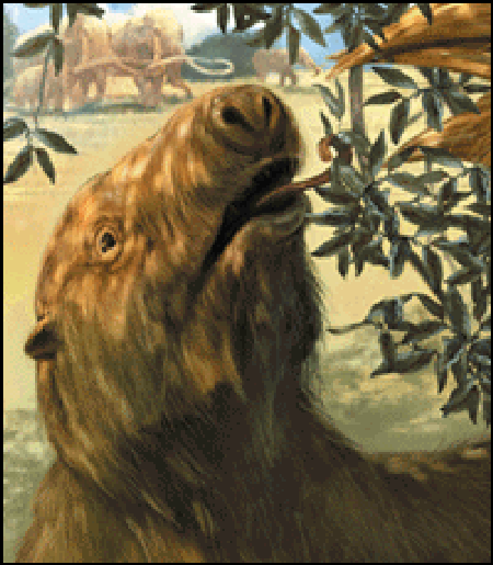 JEFFERSON'S GROUND SLOTH