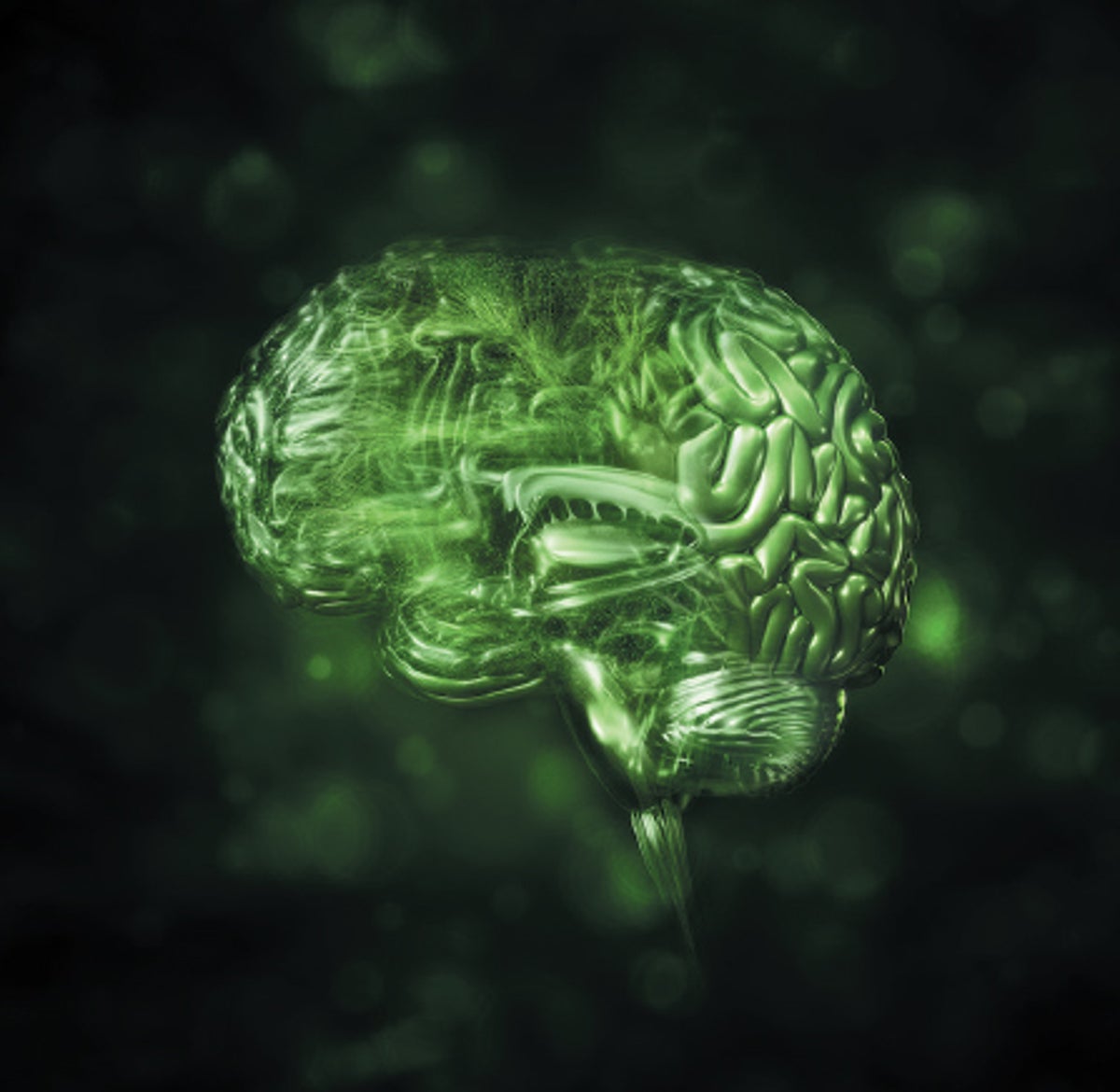 New Views: See-Through Brains, the World's Science, Enceladus's Oceans ...