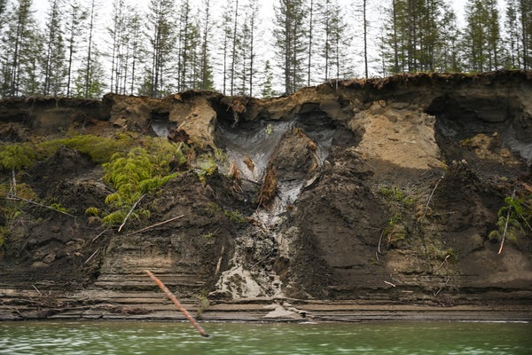 A view of melting permafrost from the Kolyma River.