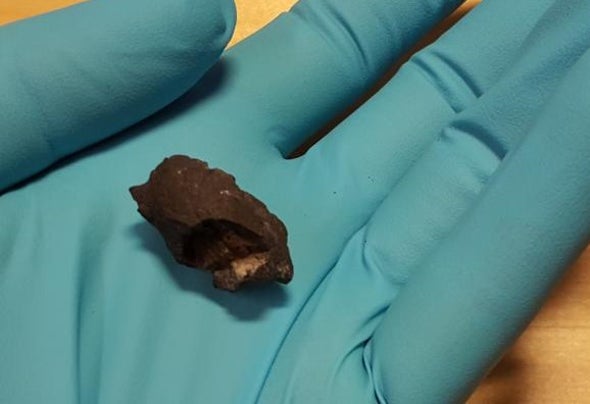Ancient Gum Gives Archaeologists Something to Chew On