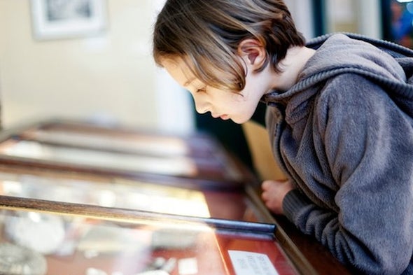 Why Brazil's Museum Fire Matters