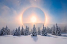 How to See Halos, Sun Dogs and Other Delights of the Daytime Sky