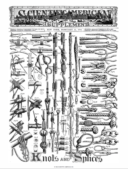 SA Supplements Vol 13 Issue 319supp