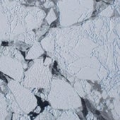 ANTARCTIC SEA ICE