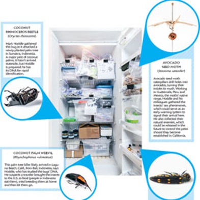 Produce-Loving Pests