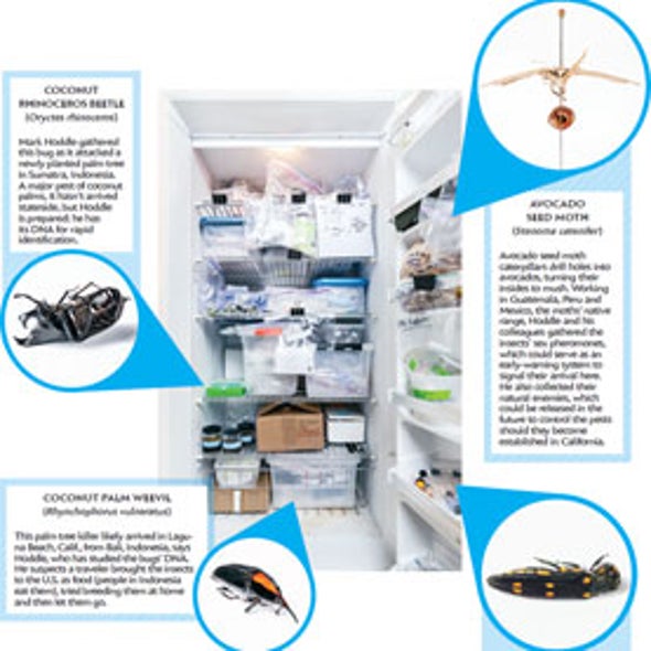 Produce-Loving Pests