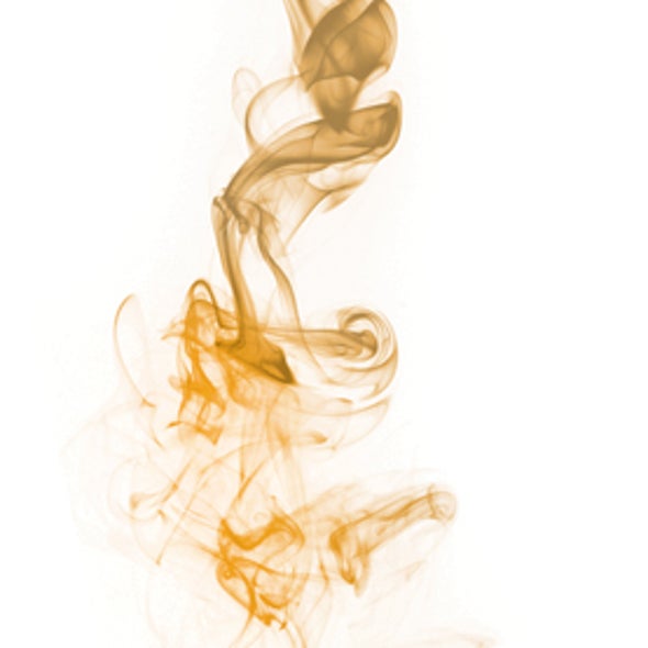 Common Brain Mechanisms Underlie Supernatural Perceptions