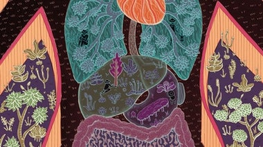 Microbes in the Gut Are Essential to Our Well-Being