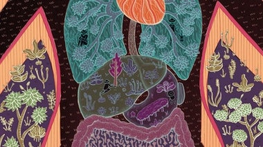 Microbes in the Gut Are Essential to Our Well-Being