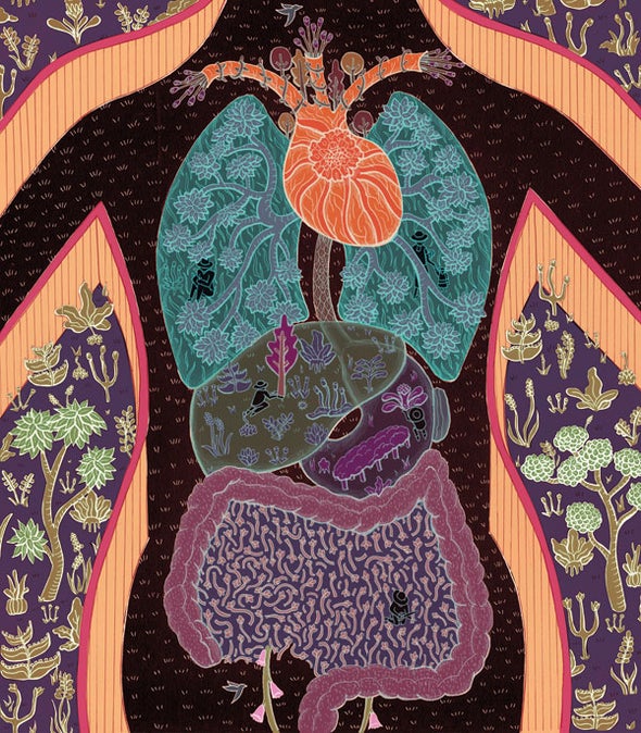 Microbes in the Gut Are Essential to Our Well-Being
