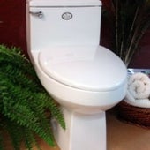 <a href="http://www.odorlesstoilets.com/index.html">Smith Innovations, Inc.'s VIP toilet</a>: