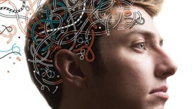 The Amazing Teen Brain