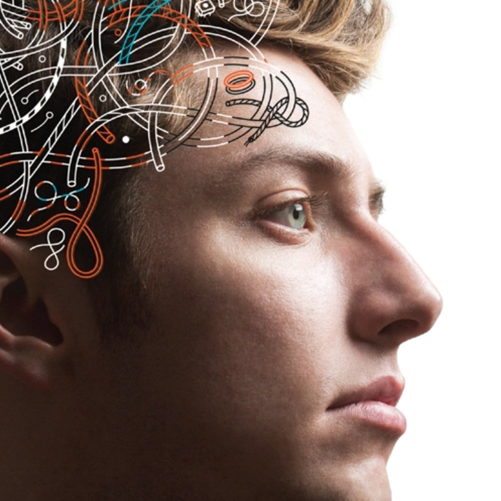 The Amazing Teen Brain | Scientific American