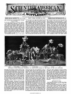 Scientific American Supplements Volume 60, Issue 1547supp
